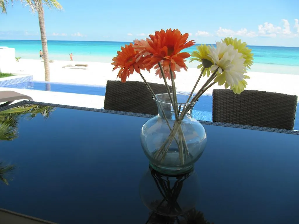 Villa Casa Moskito Playa del Carmen